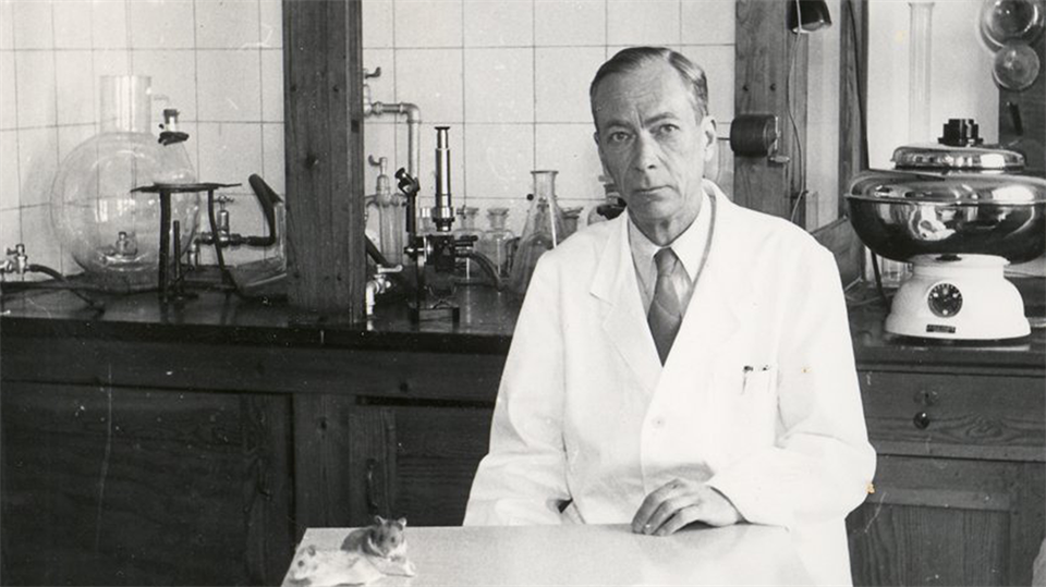Henrik Dam