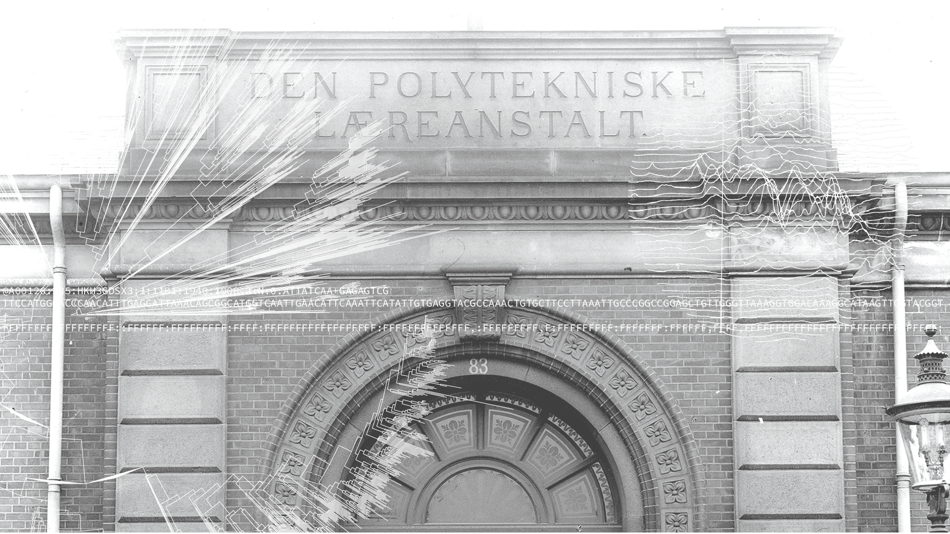 Den Polytekniske Læreanstalt